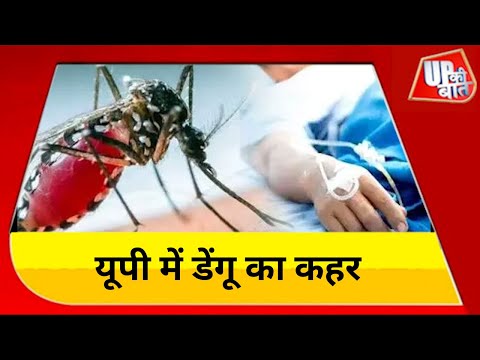 आई फ्लू के साथ डेंगू का प्रकोप, स्वास्थ्य विभाग घर-घर जाकर लोगों को कर रहा जागरुक | UP News