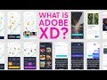 What is Adobe XD? 3 Features To Boost Your Workflow!