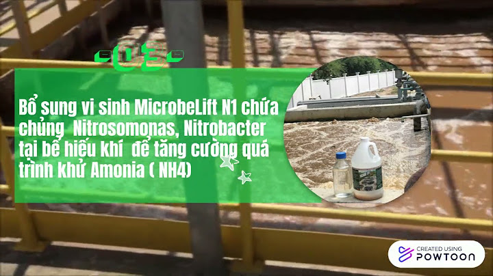 Khử nitrate và phản nitrate hóa ở vi sinh vật