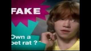 Fact Or Fake 3