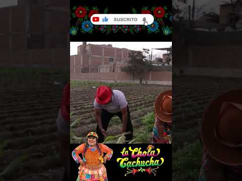 todos malogran mi chacra!! @randy1hf y los Super Genéticos!!