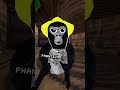 Lets Make My Gorilla Tag Fan Code Active