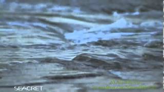 SEACRET DIRECT SKIN CARE PRODUCTS screenshot 2