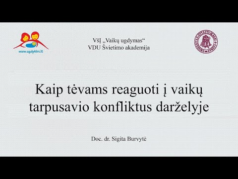 Video: Kaip Išspręsti Vaikų Konfliktus: Patarimai Tėvams