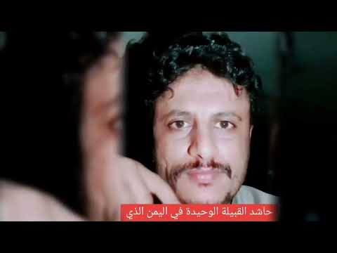 قيفه وفسالة حاشد معلقة في التاريخ والجغرافيا والرياضيات