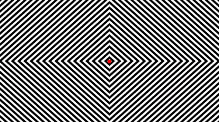 INSANE OPTICAL ILLUSION