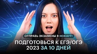 Отправь экзамены в НОКАУТ | Презентация финального курса 2023 | CОТКА