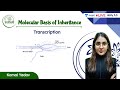 Transcription | Molecular Basis of Inheritance | L5 | Unacademy NEET | Komal Yadav