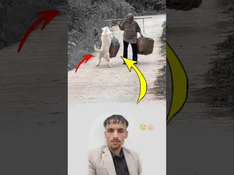 الكلب لا يتكلم لكنه يحمل عنك هموم قلبك بنظرة عين صادقة ولمسة حانية لايك اكسبلور 