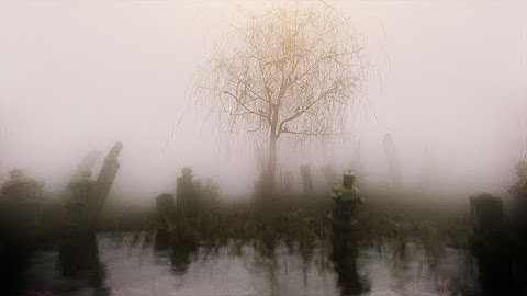 Create a FOGGY swamp with [Cinema 4D + Octane]