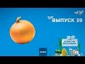 Как выбрать свежий лук | ПОЛЕЗНАЯ ПРОГРАММА. Выпуск 39 — 7.11.2019