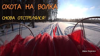 видео: ОХОТА НА ВОЛКА С ФЛАЖКАМИ. СНОВА ОТСТРЕЛЯЛСЯ. ВЫПУСК №95. ОХОТА С РУЖЬЁМ Bernardelli mega synthetic. картинка: ОХОТА НА ВОЛКА С ФЛАЖКАМИ. СНОВА ОТСТРЕЛЯЛСЯ. ВЫПУСК №95. ОХОТА С РУЖЬЁМ Bernardelli mega synthetic.