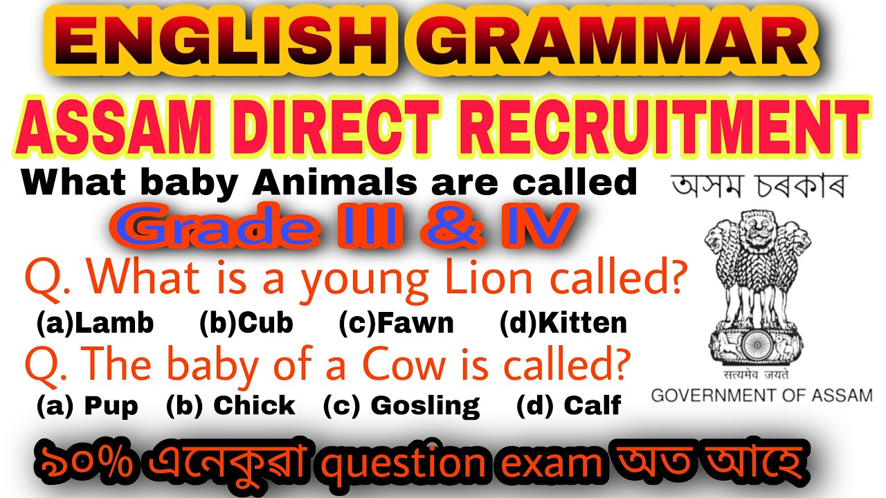 English Grammar for competitive exam | ASSAM DIRECT RECRUITMENT 2022 | Grammar | English MCQ grammar
