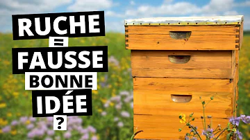 Puis-je mettre une ruche dans mon jardin ?