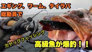 商談中(._.)【カヤックフィッシング(^^)】 ☆愛知県豊橋市まで引取希望☆