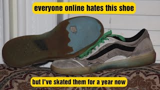 Vans Ave Pro (most hated skate shoe?)