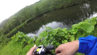 ボスピューパ(NORIES) & バックス3.8g(Anglerz system)