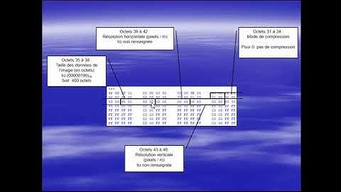 En-tête et données d