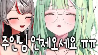 [스텔라이브] 시로한테 감금 당하고 시로의 애완 양배추가 되어 버린 리코