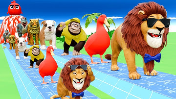 Long Slide Game With Elephant Gorilla Buffalo Hippopotamus Tiger 3d Animal Game Funny 3d Animals