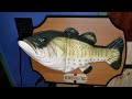 Big Mouth Billy Bass Fast Tail Variant Gemmy Big Mouth Billy Bass Fast Tail Variant Gemmy