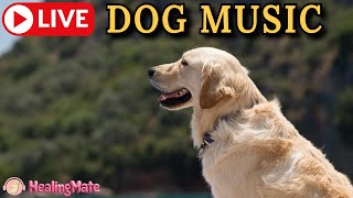 Live Stream Image