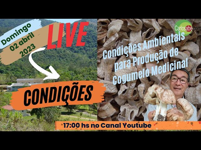 LIVE - Condições Ambientais para Produzir Cogumelo Medicinal Agaricus  blazei 