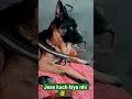 #dailyshorts #likeandsubscribe