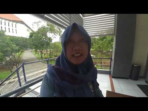 Video: Apa itu pabrik pasang surut?