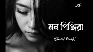 Mon Pinjira (মন পিঞ্জিরা)। ‍BANGLA lOFI SONG#slowedandreverb