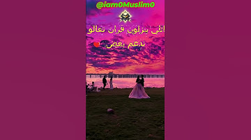 القارئ الصغير الذي حير مشاهير القراء بخشوع صوته الجزء  324 #قران #قران كريم #قراند #quran #quran alk