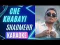 Shadmehr Aghili Che Khab Hayee Karaoke شادمهر عقیلی چه خواب هایی کارائوکه 