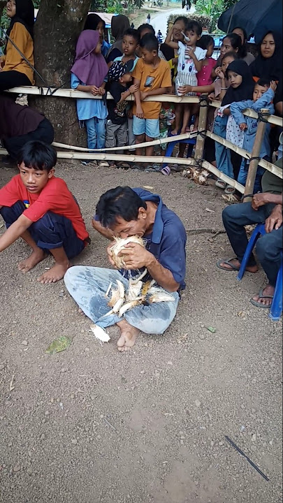 PENONTON KESURUPAN GIGIT KELAPA