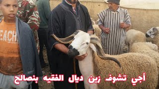 الصردي ديال الفقيه بنصالح حاضر بقوة في سوق الثلاثاء الخميسات 13/07/2021