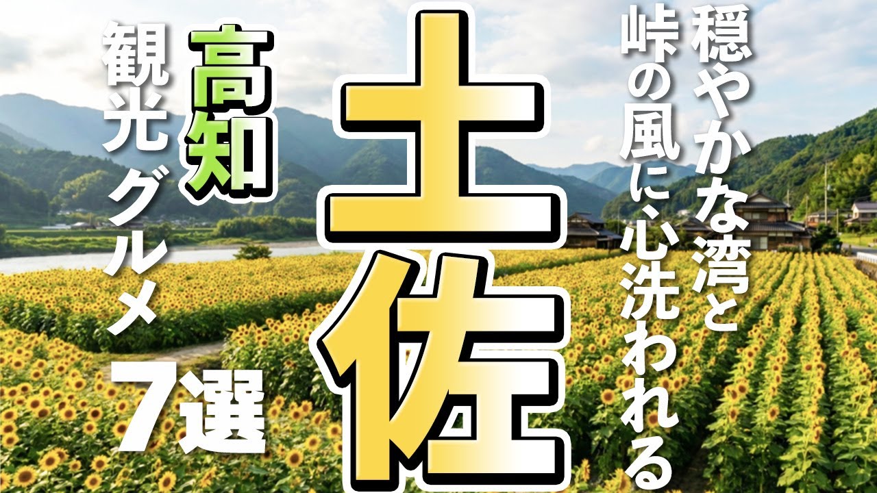 【高知観光/グルメ】土佐市観光では外せない！王道スポットと絶品グルメ7選