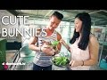 Cute Bunnies - It's a Date! EP8