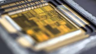 Focus Stacking; IntelPentium100