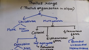Thallus organization in algae ||msc||
