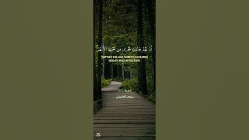 سورة البقرة | سعد الغامدي | #تلاوة_خاشعة #اكسبلور #istagfar #قرآن #دويتو #quran #راحة_نفسية #لايك