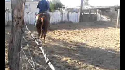 Amador arroyo arrendando caballos