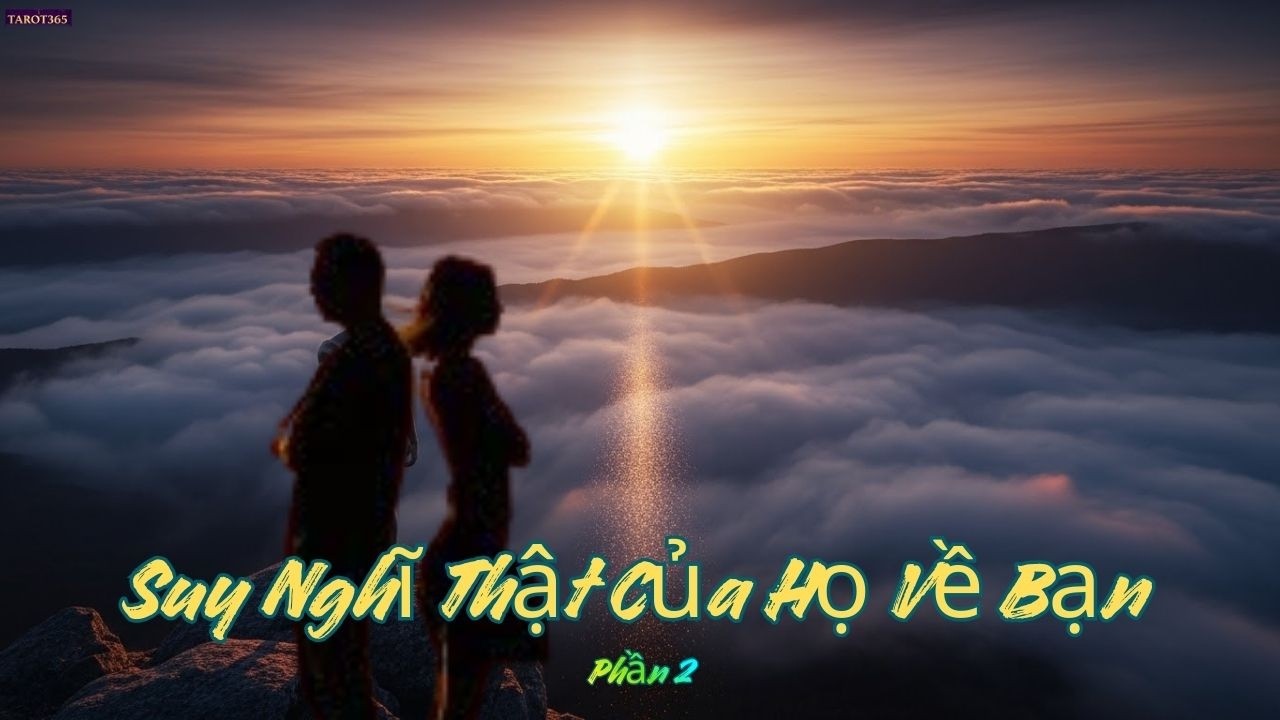 Tarot365 | Suy Nghĩ Thật Của Họ Về Bạn Trong Im Lặng - Phần 2