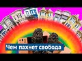 Сан-Франциско: город бомжей и богачей