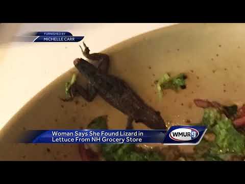 Woman claims she found dead lizard in her salad made with store-bought lettuce
