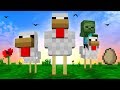 Everything You Need To Know About CHICKENS In Minecraft!