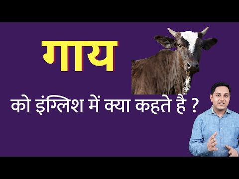 वीडियो: गाथ की परिभाषा क्या है?