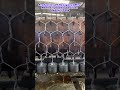 Production Of Hexagonal Wire Mesh For Double Partition Renault Pads
