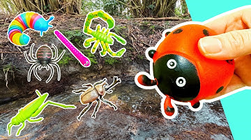 Learn Bug Insect Names & Facts for Babies Kids at the Stream: Butterfly Praying Mantis Rhino Beetle