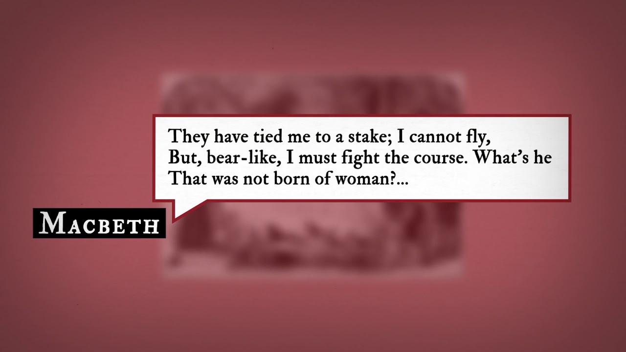 Historical Reference: Bear Baiting | myShakespeare, image size:1280x720