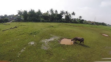 Betaflight 3.2 Dynamic Filter Test