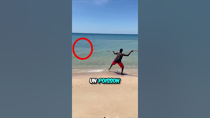Cet Homme est le Meilleur Chasseur 🐟